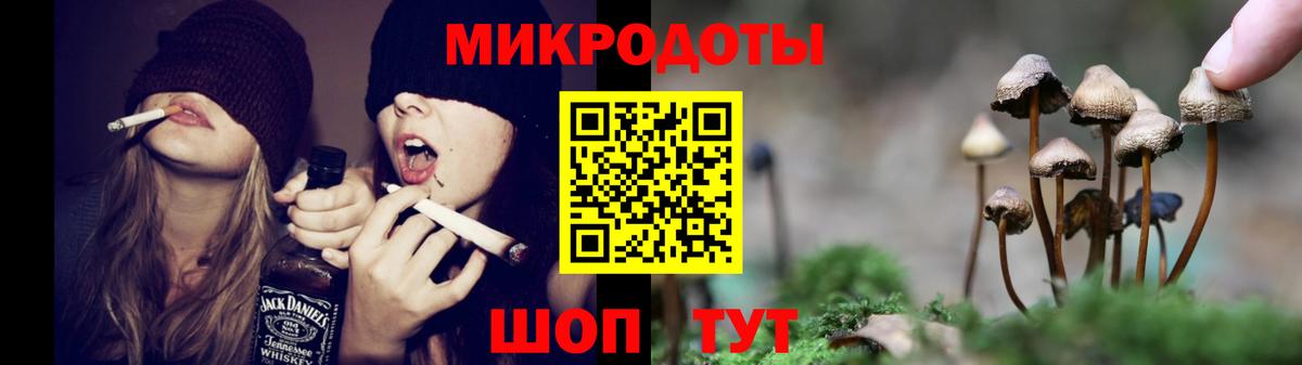 Псилоцибиновые грибы прущие грибы  Вход с VPN  Сунжа 